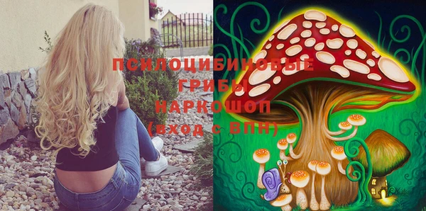синтетический гашиш Алексеевка