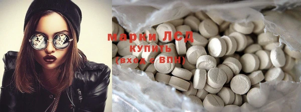 прущие грибы Алзамай