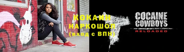 прущие грибы Алзамай