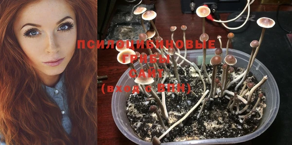 синтетический гашиш Алексеевка