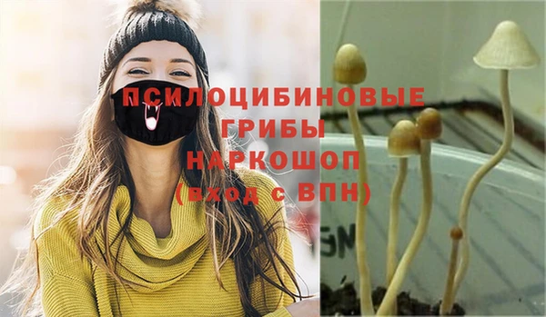 прущие грибы Алзамай