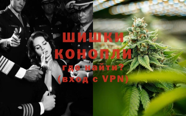 прущие грибы Алзамай